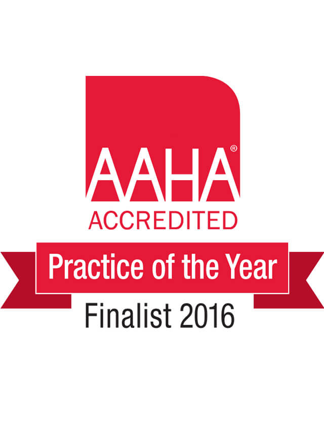 aaha_2016