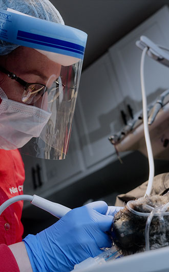 dental_care_s4_02-img