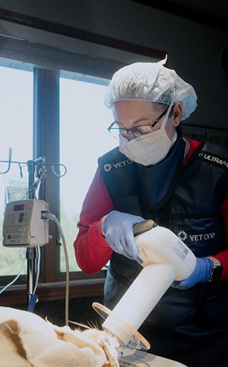 dental_s4_1-img
